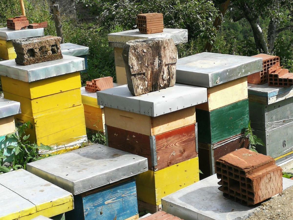 Eco Village Jasavic Plav Zewnętrze zdjęcie