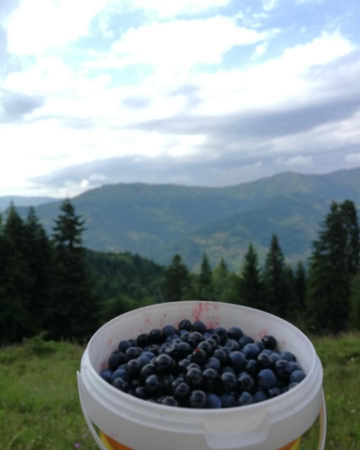 Eco Village Jasavic Plav Zewnętrze zdjęcie